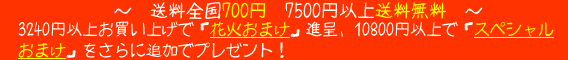 �����S���ꗥ525�~�A5250�~�ȏ㑗�������A���܂�����