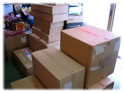 �ԉ΍���i